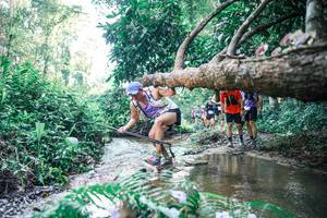 BIB: 
                            <button type="button" onclick="openModal(25443597)" class="btn btn-primary btn-sm float-right btn-popup" data-toggle="modal" data-target=".modal-high-quality">
                        <i class="fas fa-shopping-cart"></i> Add to Cart
                    </button>
                                            <button type="button" onclick="isThisMe(25443597, true)" class="btn btn-success btn-sm float-right btn-popup btn-isme hidden" data-toggle="tooltip" data-placement="bottom" title="นี่คือรูปของคุณใช่ไหม คลิกที่นี่เพื่อเอาเข้าอัลบั้ม">
                        <i class="fas fa-plus"></i> Add to album
                    </button>
                    <button type="button" onclick="isThisMe(25443597, false)" class="btn btn-warning btn-sm float-right btn-popup btn-isnotme hidden">
                        <i class="fas fa-ban"></i> Remove from album
                    </button>